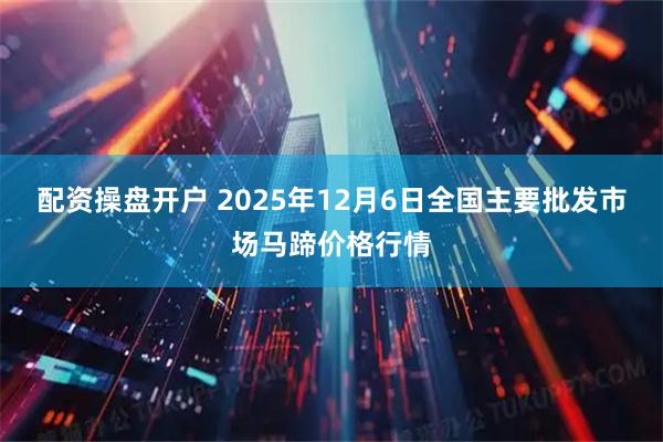 配资操盘开户 2025年12月6日全国主要批发市场马蹄价格行情